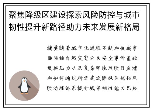 聚焦降级区建设探索风险防控与城市韧性提升新路径助力未来发展新格局